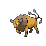 TAUROS