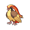 PIDGEOT
