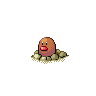 DIG
